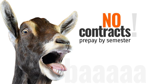No Contracts!